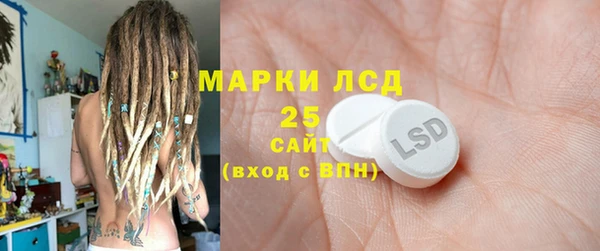 прущий лед Алзамай