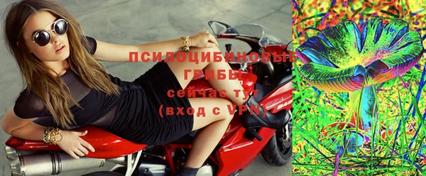 не бодяженный Алексин